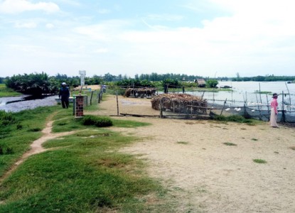 Đê ngăn mặn ven sông Trường Giang bị hư hỏng nghiêm trọng