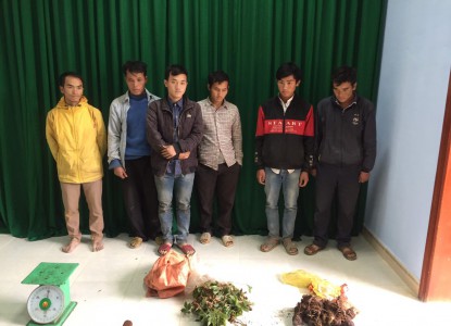 Quảng Nam: Xử phạt các đối tượng khai thác dược liệu trái phép khu vực biên giới